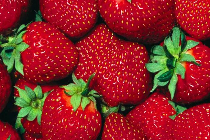 Conservar el sabor de los fresones