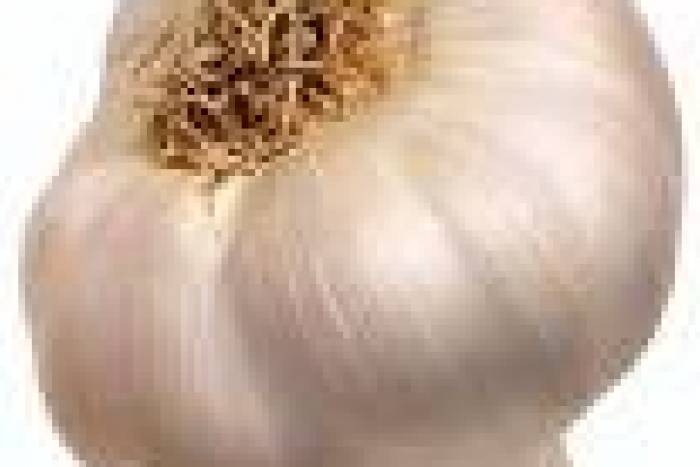 Para que el ajo no repita