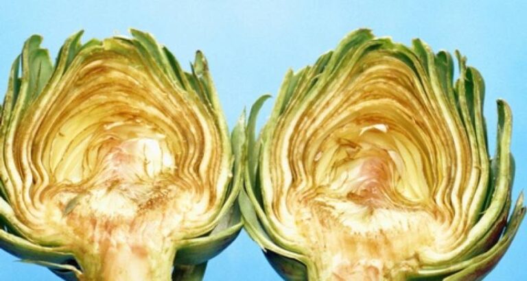 Para evitar que las alcachofas se oscurezcan.