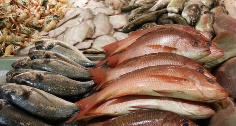 Elaboración de fumet de pescado