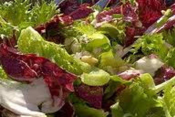 Ensalada multicolor con vinagreta de arandanos