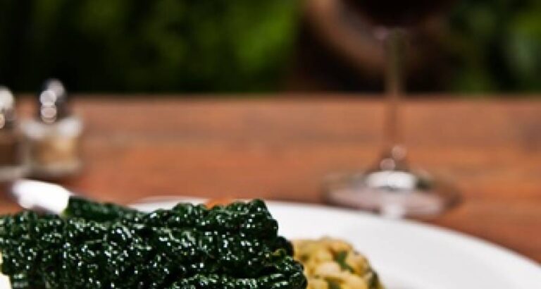 Carne tierna con salsas de vino