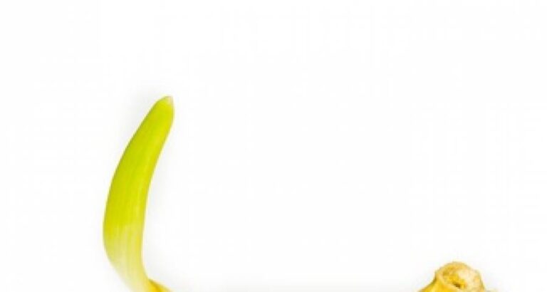 Disfrutar del aroma del ajo y evitar las disgetiones difíciles