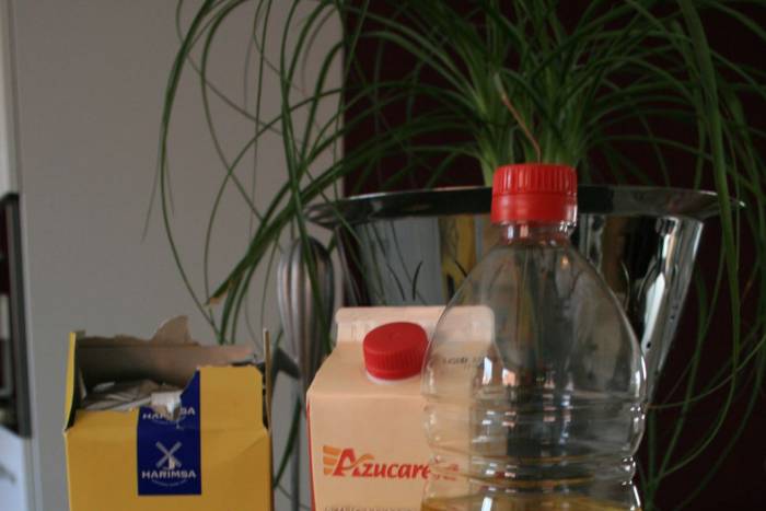 Bizcocho de jengibre