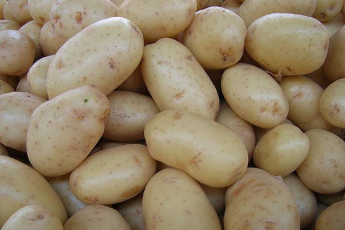 Patatas siempre nuevas.