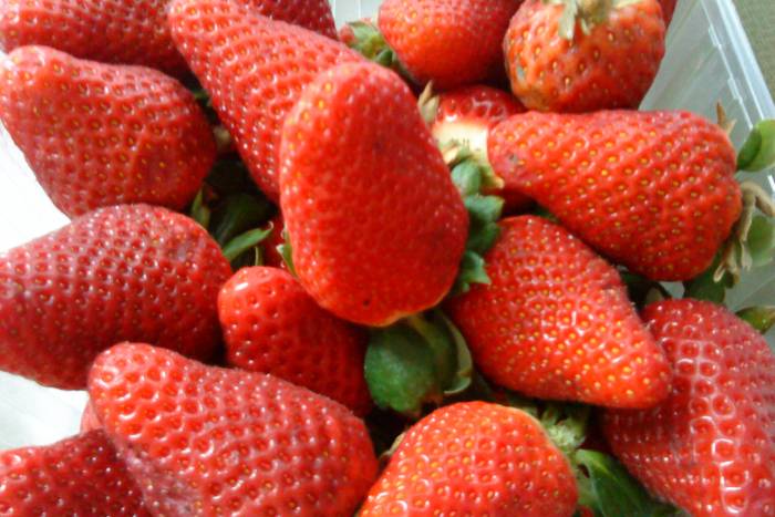 Batido de fresas con helado