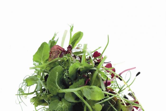 Cerdo confitado, chutney de cerezas y ensalada