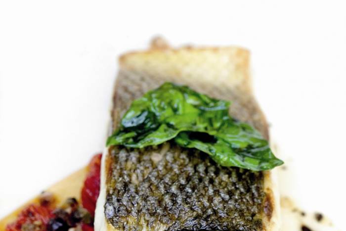 Lubina sobre coca de tomate confitado