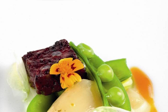 Tripa de bacalao guisada