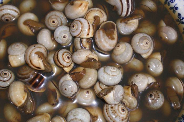 Los caracoles de la abuela