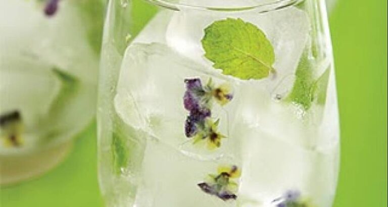 Sobre los cubos de hielo