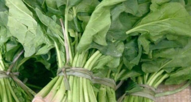 Que hacer con las sobras de espinacas o verduras