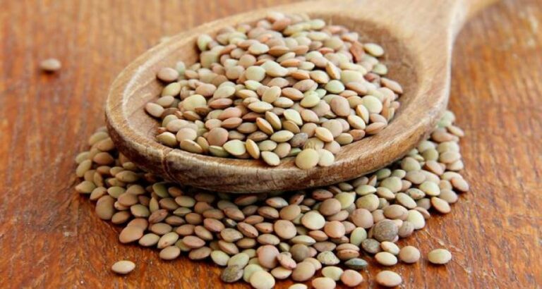 Las legumbres son imprescindibles en nuestra alimentación