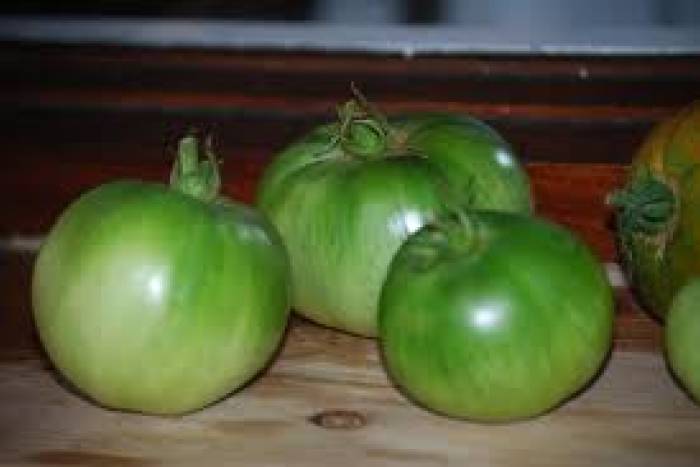 Tomates verdes