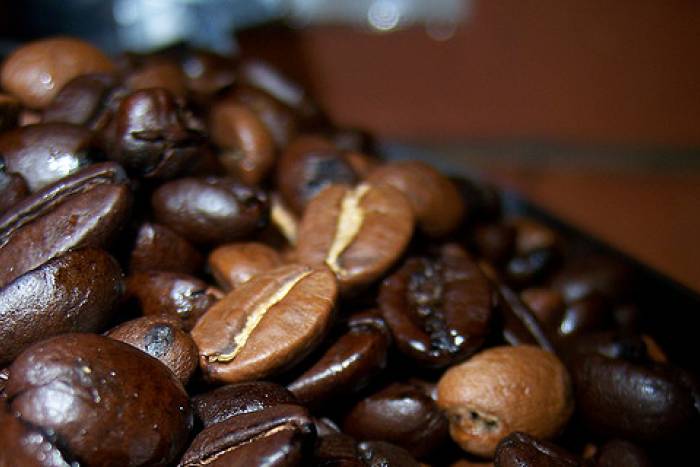 Licor de café casero