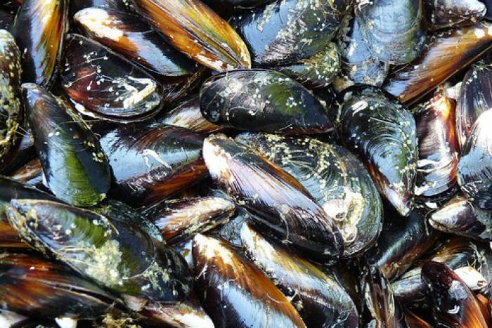 Caldereta de rape y marisco