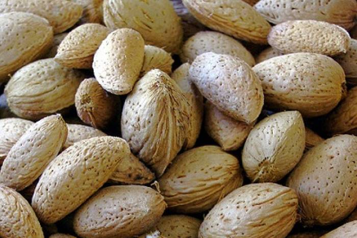 Colas de rape con salsa de almendra