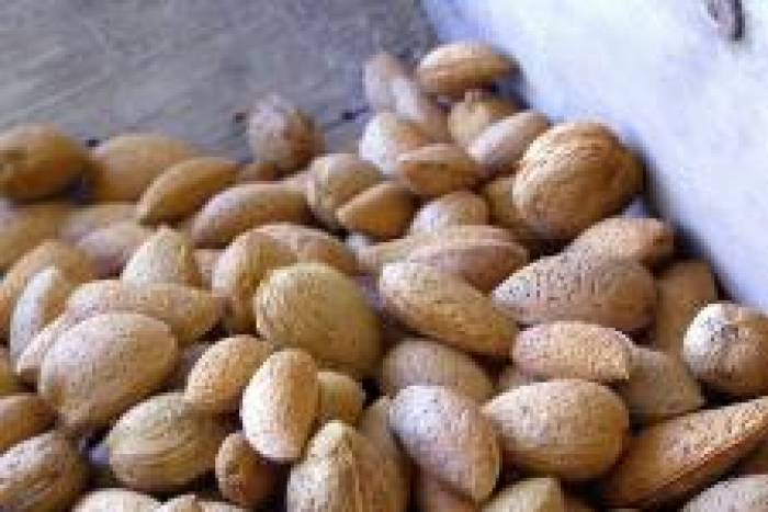 Pavo en salsa de almendras