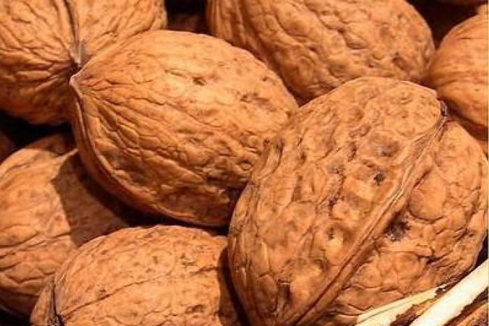 Pan dulce con nueces y pepitas de chocolate