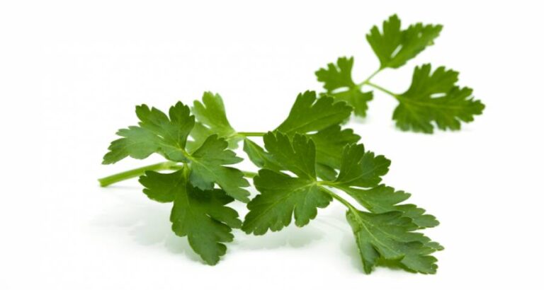 Cómo picar el perejil