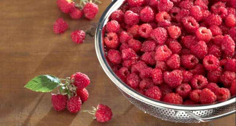 Elige la frambuesa perfecta