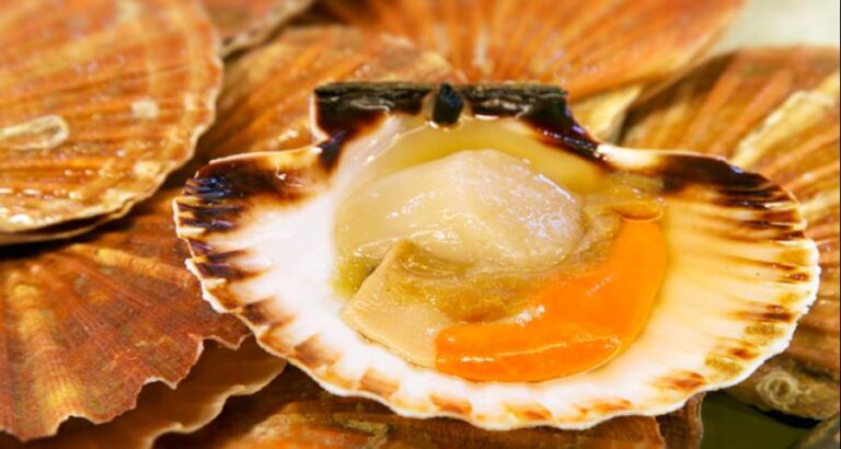 Abrir las vieiras es fácil