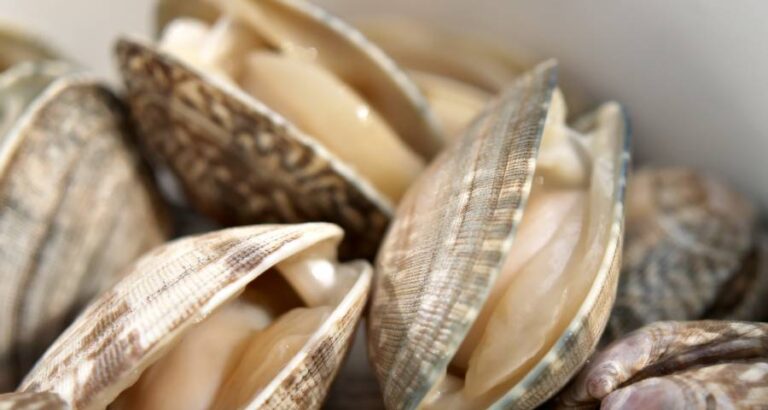 Sin rastro de arenilla