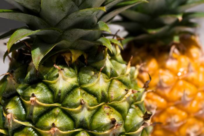 Escoge la mejor piña