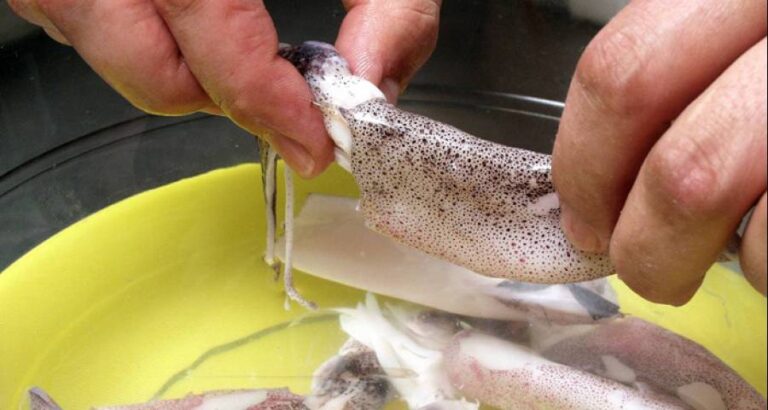 Chipirones bien limpios