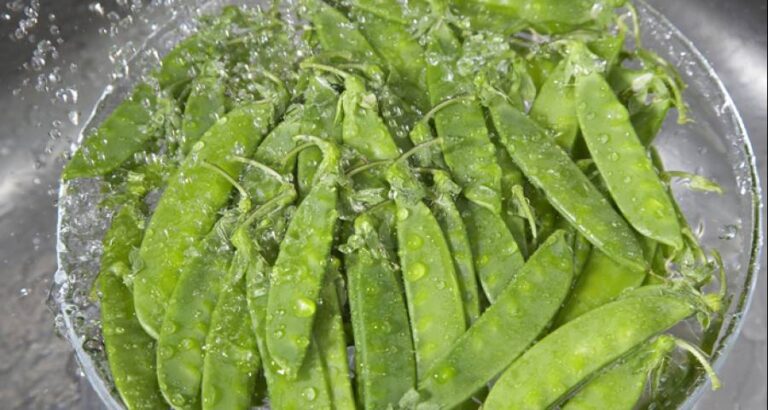 Enfríalas para conservar el color