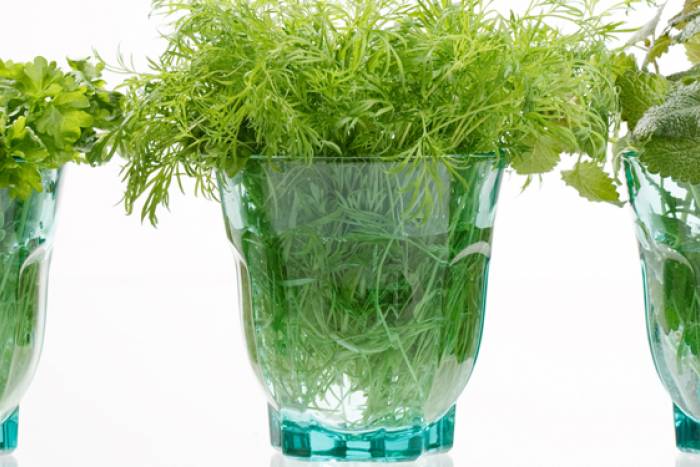 Las hierbas, siempre frescas