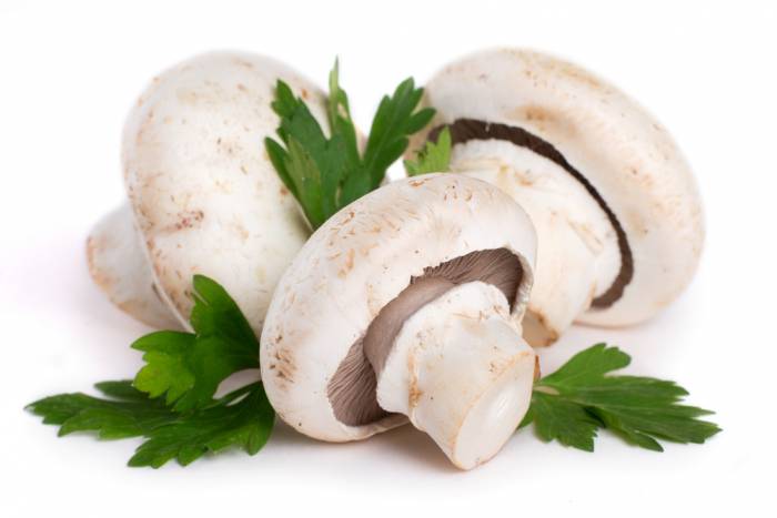 Limpia las setas conservando su sabor