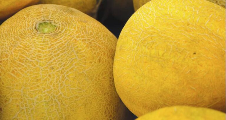 Cambia el color de las sopas de melón