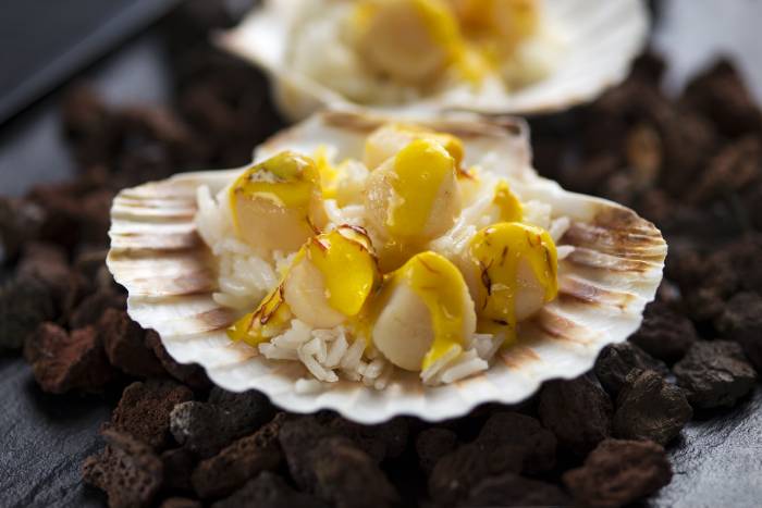 Vieiras con salsa de azafrán