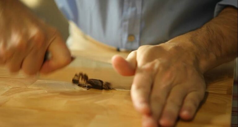 Guisos con chocolate