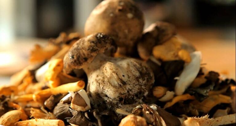 Utilizar setas en la cocina