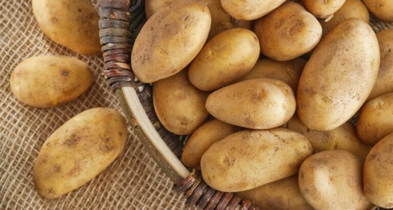 Patatas más tiernas