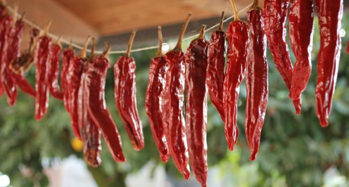 Desecado de productos