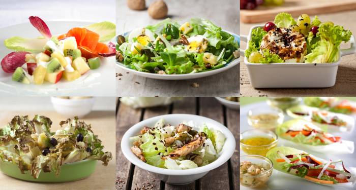 Tipos de ensaladas de lechuga