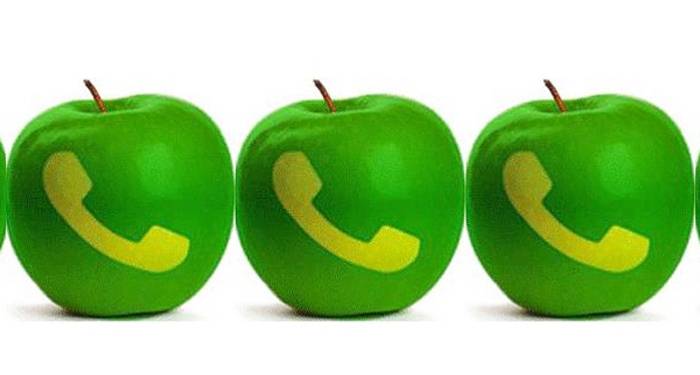 El móvil responde tus dudas nutricionales