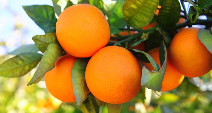 Cuanto más cerca, mejor