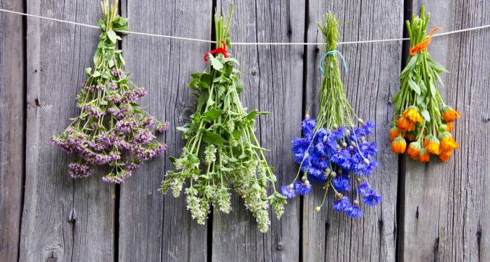 Ingredientes con muchas posibilidades