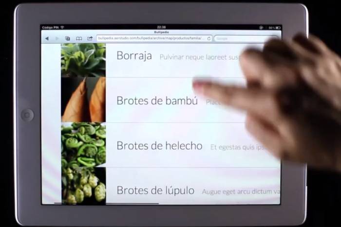 La bullipedia: el bulli al alcance de todos