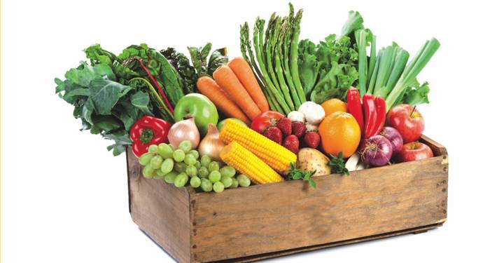 Una guía para cultivar hortalizas todo el año