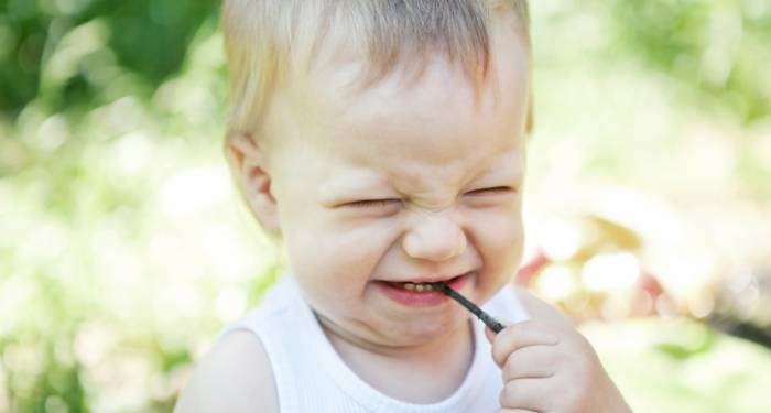 El poder de las formas