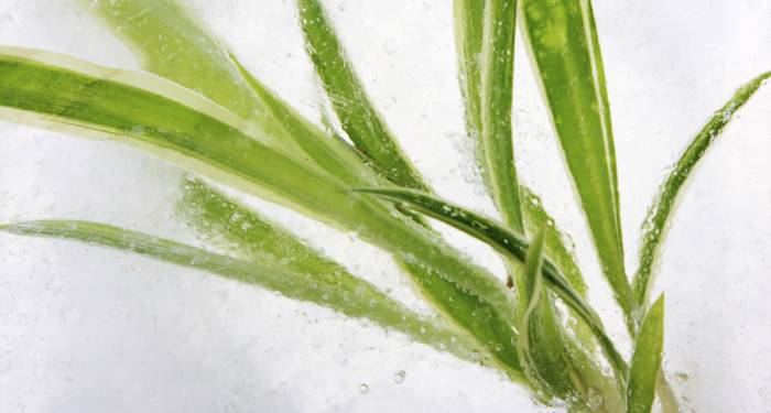 Resultados del concurso 