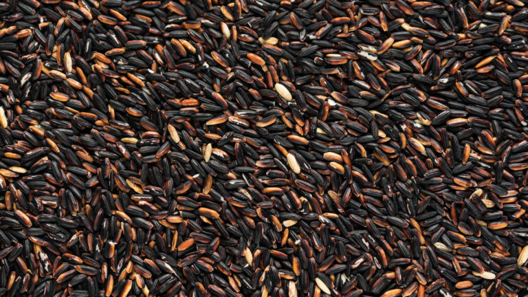 Arroz venere: 4 deliciosas recetas