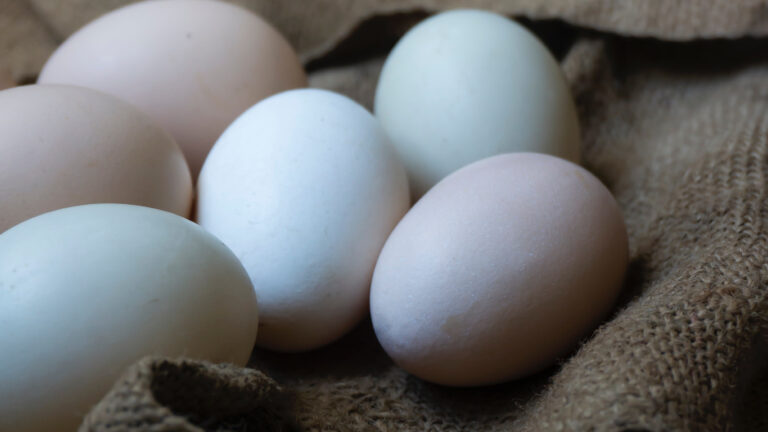 Cenas con huevo: 10 ideas de recetas