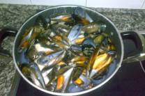 Cocer mejillones en agua