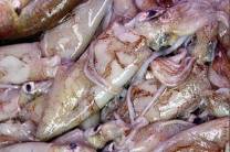 Preparar los ingredientes